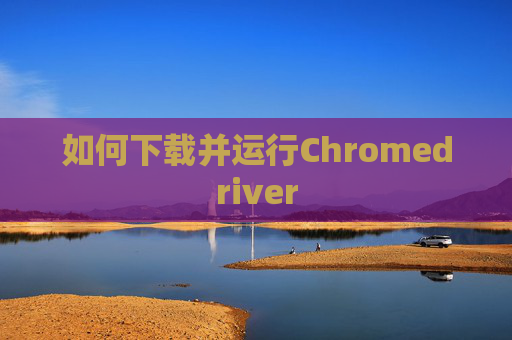如何下载并运行Chromedriver